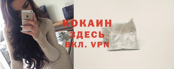 дживик Навашино