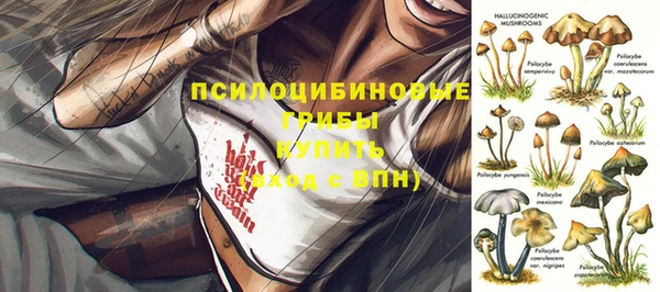 2c-b Михайлов
