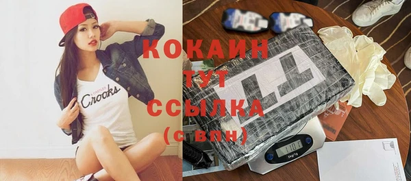 стафф Михайловск