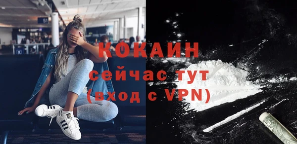 твердый Надым