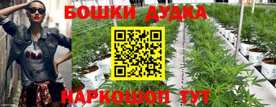 прущие крисы Коммунар