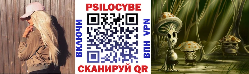 закладка  Мыски  гидра зеркало  Псилоцибиновые грибы Psilocybine cubensis 