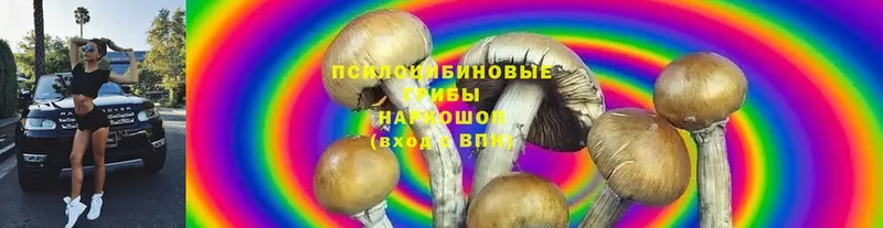 Псилоцибиновые грибы Magic Shrooms  kraken ONION  Мыски 