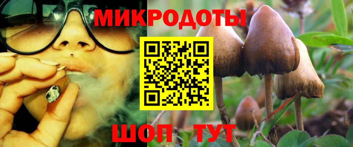 купить наркоту  Вход с VPN  Мыски  Псилоцибиновые грибы мухоморы 