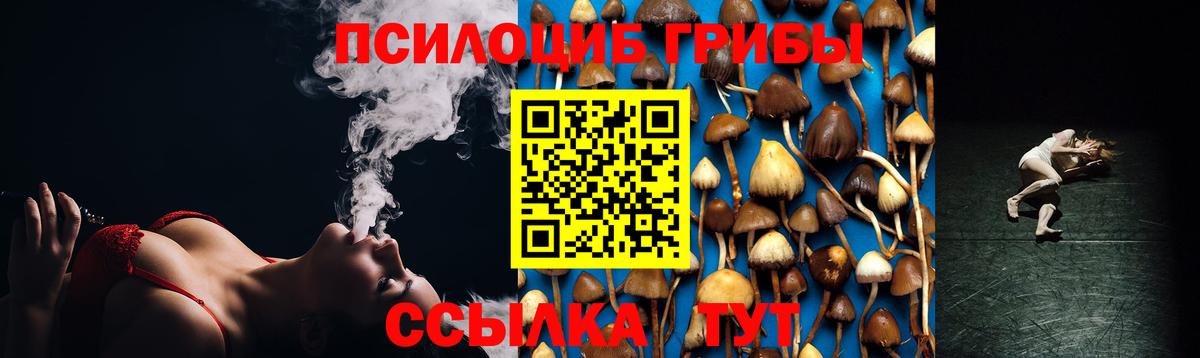 Мыски  Вход с VPN  Конопля  Кокаин  МЕФ кристаллы  ГАШ 
