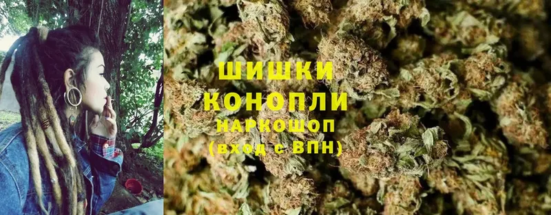 Каннабис OG Kush  Мыски 